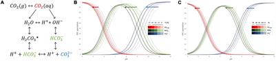 Comparative Genomic Analysis Revealed Distinct Molecular Components and Organization of CO2-Concentrating Mechanism in Thermophilic Cyanobacteria